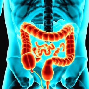 מחלת ניימן-פיק (Niemann-Pick Disease)