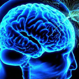 תסמונת רובינשטיין-טייבי (Rubinstein-Taybi Syndrome)