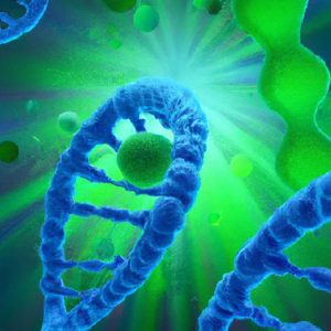 תסמונת לאורנס-מון-בידל (Laurence-Moon-Biedl Syndrome)