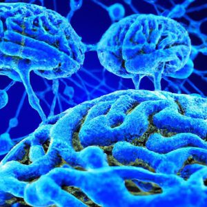 טרשת נפוצה פרוגרסיבית (Progressive Multiple Sclerosis)