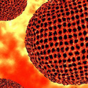 מחלת פנקוני (Fanconi Anemia)