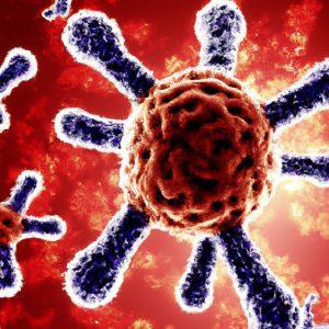 דלקת קרום המוח חיידקית חריפה (Acute Bacterial Meningitis)